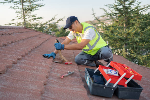 Residential Roof Replacement in Ridge Wood Heights, FL